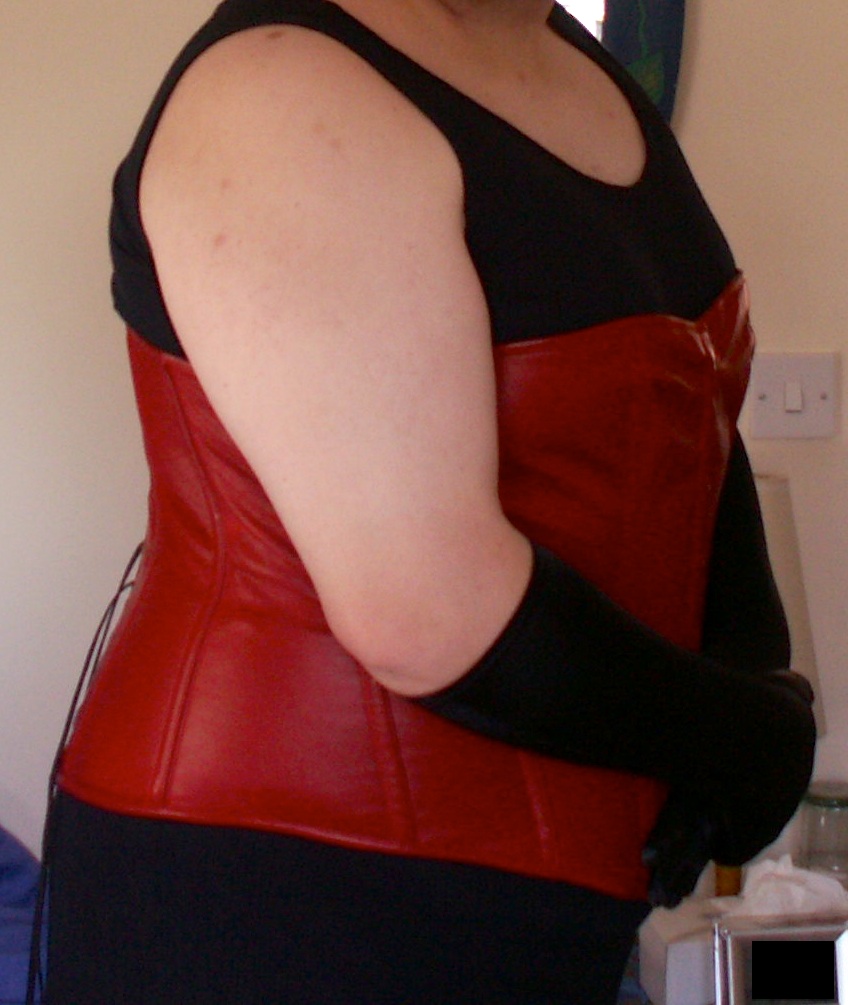Me, wearing a black dress, opera loves and a dark red leather-style corset.